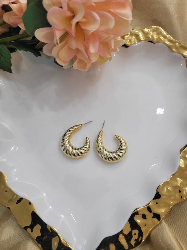 Semi Loop Earrings