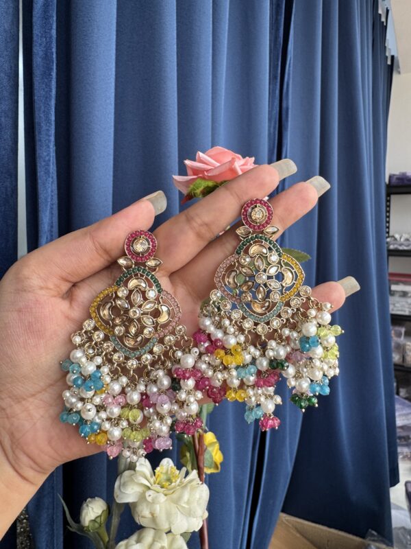 Nitya Premium Earrings - Multi