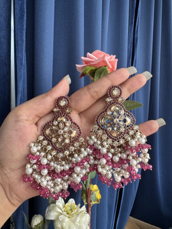 Nitya Premium Earrings - Wine