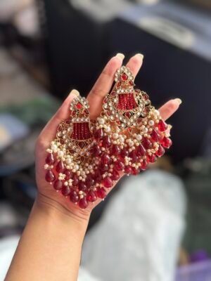 Ishani Crystal Earrings – Red