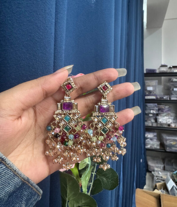 Dharni Multicolour Beauty