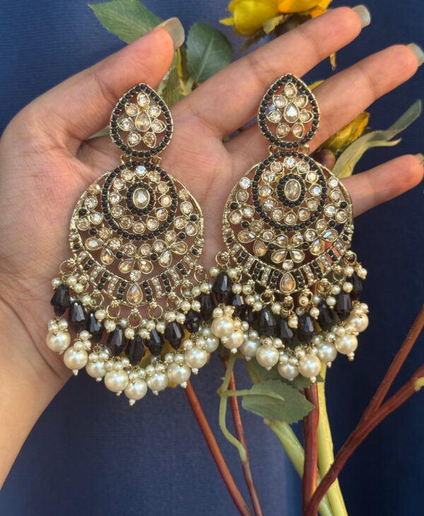 Mitali Premiun Earrings - Black