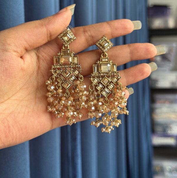 Dharni Golden Beauty