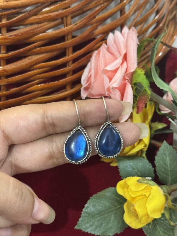 Daily Wear Brass Drop Earrings - Dark Blue