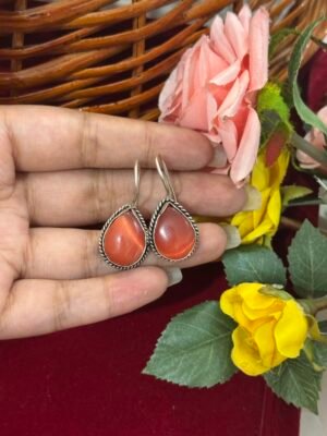 Daily Wear Brass Drop Earrings – Orange