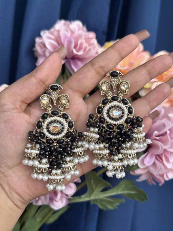 Purvi Premium Earrings - Black