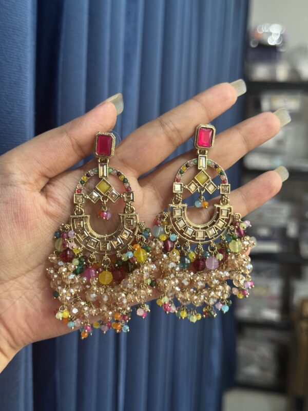 Devika Premium Earrings  - Multi