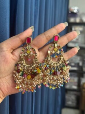 Devika Premium Earrings  – Multi