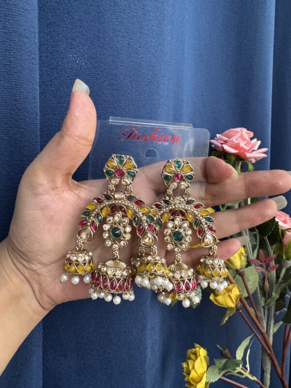 Alisha Premium Earrings - Multi