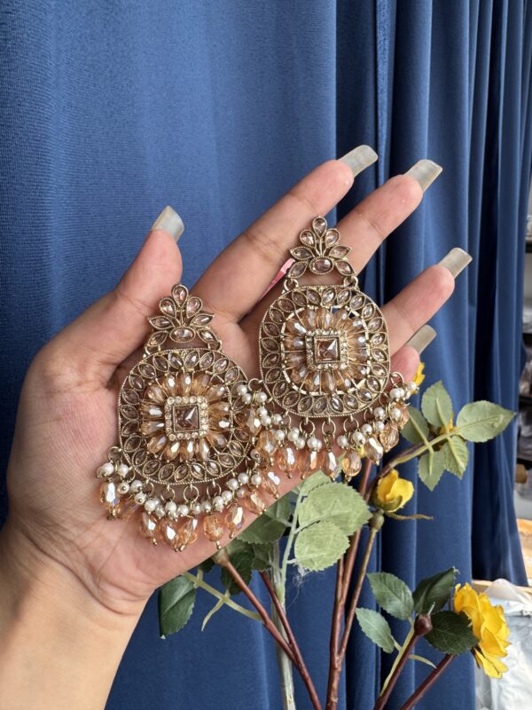 Reverse AD Premium Earrings