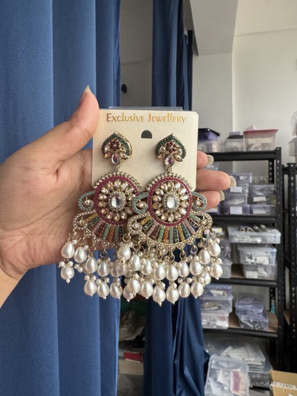 Rani Premium Earrings - Multi