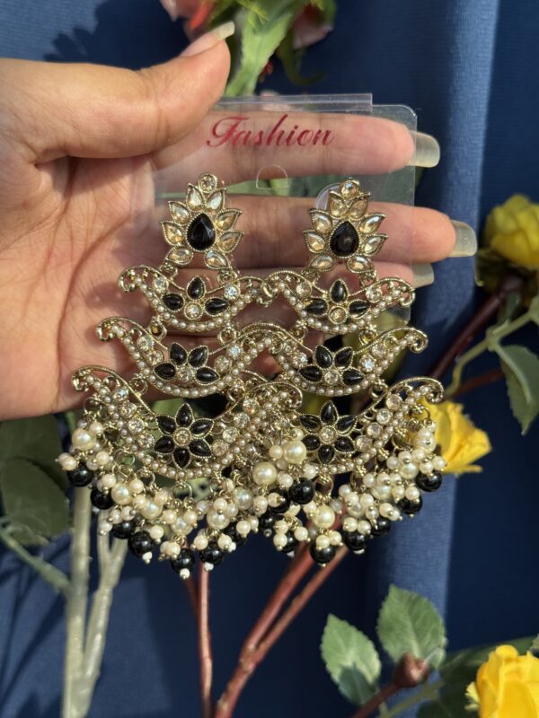 Ragini Premium Earrings - Black