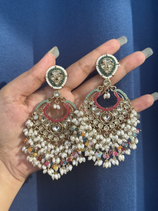 Amrita Premium Earrings - Multi